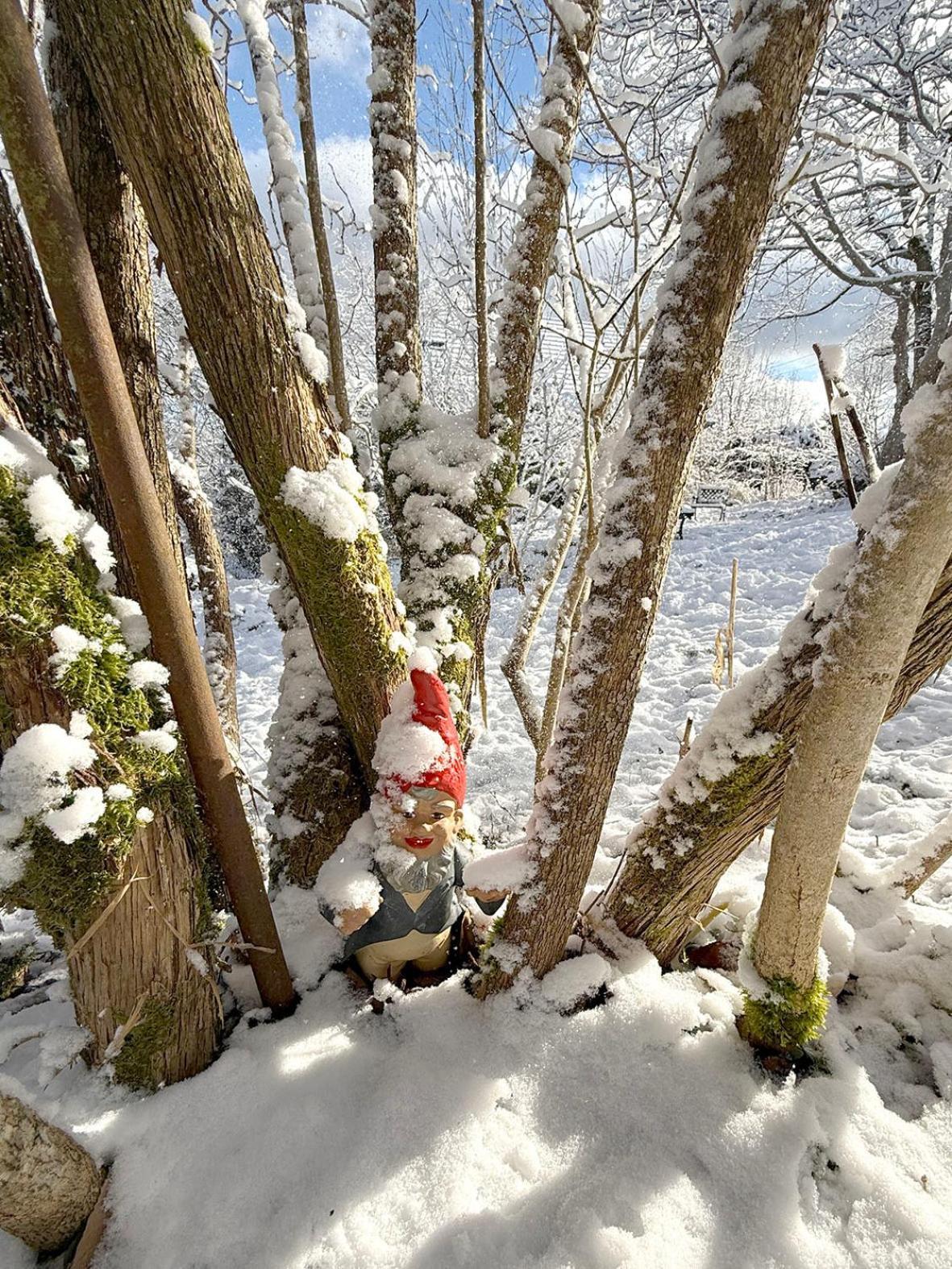 Chalet Les Airelles ラバロッシュ エクステリア 写真